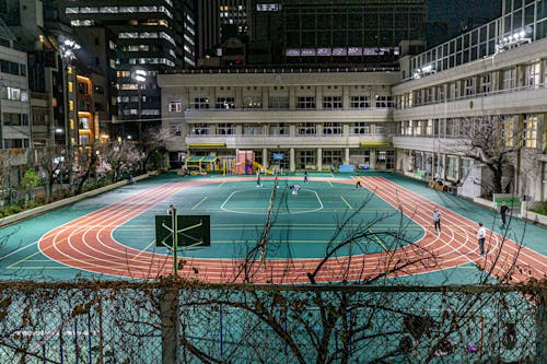 右肋与