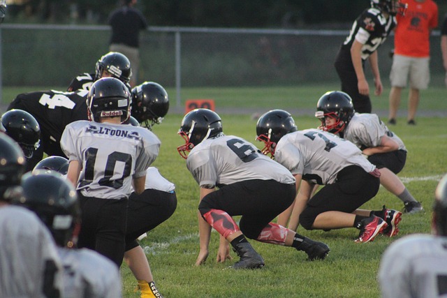 亚冬会不仅 亚冬会不仅