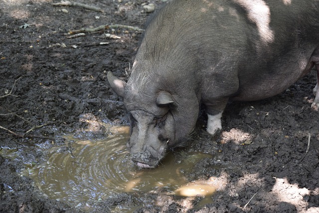 期间被多次 期间被多次