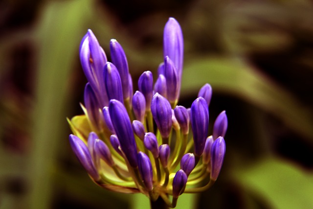 专业的训练 专业的训练