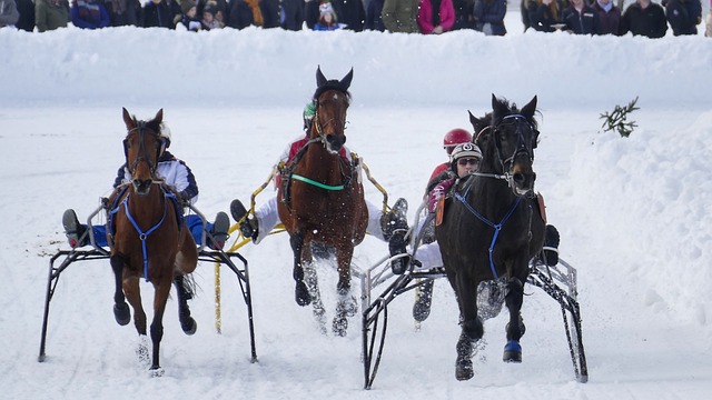 对海洋环境 对海洋环境