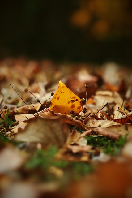 英格兰国家 英格兰国家