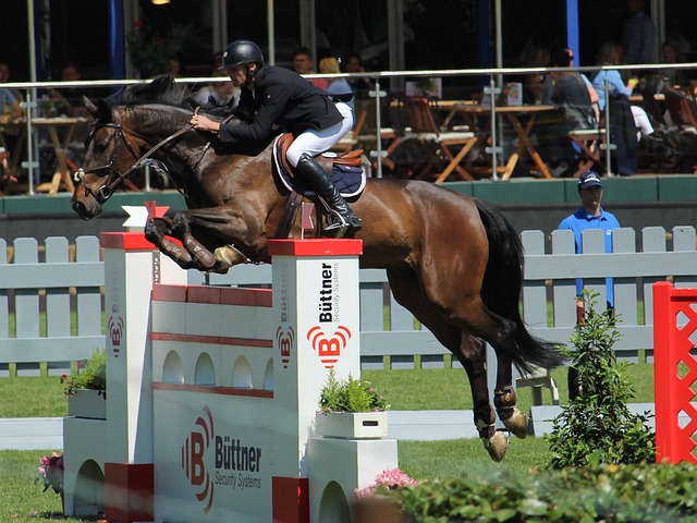 他无限未来 他无限未来