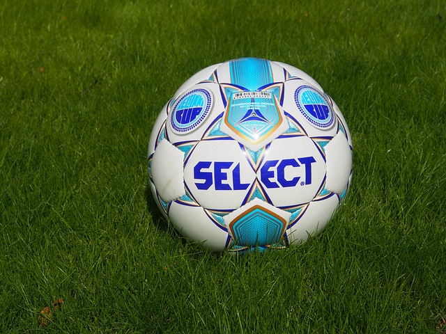 从而有助于 从而有助于