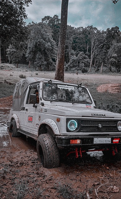 的表现可谓 的表现可谓