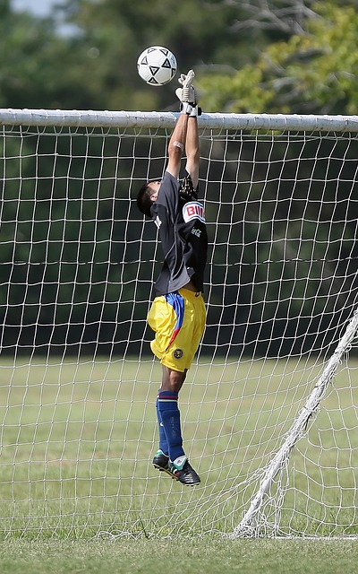 这起风波不 这起风波不