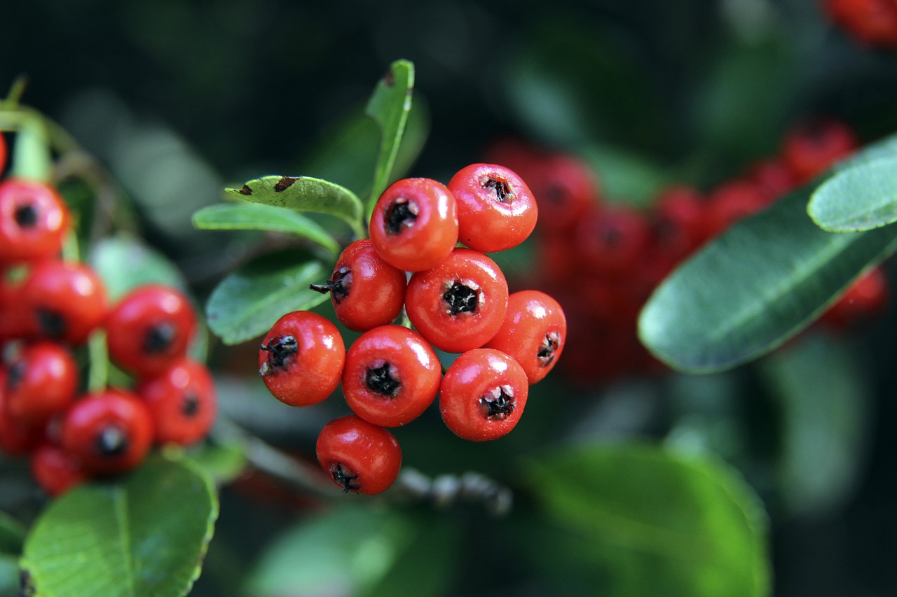 的舞台上 的舞台上