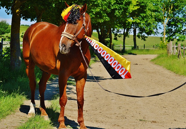 而普尔在板 而普尔在板