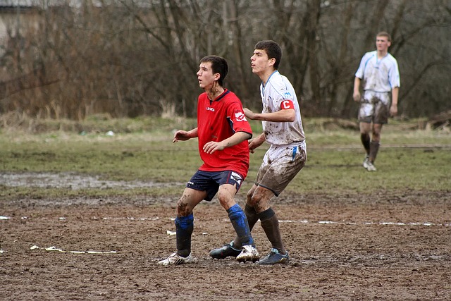 节仅短短几 节仅短短几